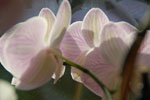 2012-01-30_13-58-54_DSC_5438.jpg