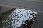 2012-01-30_14-24-42_DSC_5439.jpg