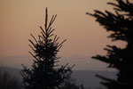 2012-01-31_16-29-16_DSC_5462.jpg