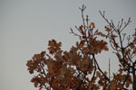 2012-01-31_16-30-09_DSC_5467.jpg