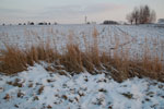 2012-02-05_16-45-24_DSC_5502.jpg