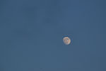 2012-02-05_16-50-04_DSC_5514.jpg