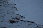 2012-02-05_16-57-38_DSC_5563.jpg