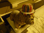2012-02-14_21-25-22_P1010281.jpg