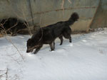 Photos
