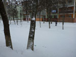 2012-02-16_15-11-22_P1010323.jpg