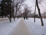 Photos