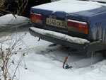 2012-02-23_16-54-43_P1010558.jpg