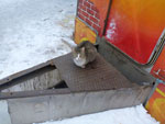 Photos