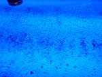 2012-03-09_00-36-04_P1020109.jpg