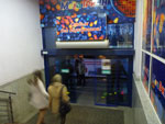 Photos