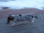 2012-03-16_19-59-59_P1020360.jpg