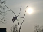 2012-03-18_18-17-59_P1020536.jpg