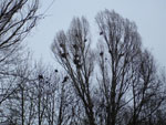 2012-03-20_19-03-52_P1020585.jpg