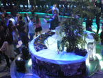 2012-03-25_01-35-51_P1020713.jpg