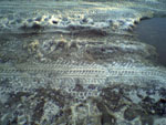 2005-01-01_00-00-00_SP_A0080.jpg