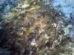 2005-01-01_00-00-00_SP_A0082.jpg