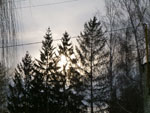 Photos