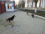 2012-04-13_19-23-23_P1030841.jpg
