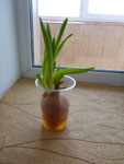 2012-04-14_15-01-12_P1040086.jpg