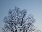 2012-04-17_20-37-30_P1040259.jpg