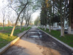 2012-04-25_20-00-51_P1040545.jpg