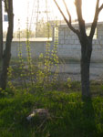 2012-04-26_20-00-51_P1040568.jpg