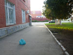 Photos