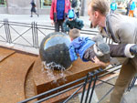 2012-04-30_19-20-44_P1050357.jpg