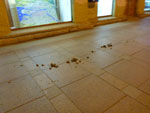 2012-05-01_01-49-29_P1050386.jpg
