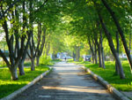 Photos