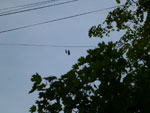 2012-05-05_19-39-39_P1050604.jpg
