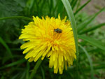 2012-05-07_12-08-51_P1050743.jpg