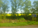 2012-05-07_18-42-53_P1050764.jpg