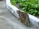 2012-05-10_16-09-20_P1060078.jpg