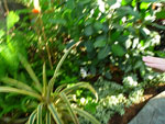 2012-05-10_18-00-05_P1060141.jpg