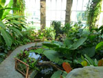 2012-05-10_18-02-19_P1060159.jpg