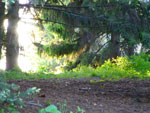2012-05-10_19-05-24_P1060285.jpg