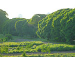 2012-05-10_19-13-24_P1060295.jpg