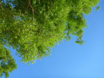 2012-05-11_17-06-12_P1060427.jpg