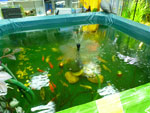 2012-05-12_18-01-59_P1060495.jpg