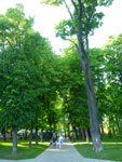 2012-05-12_18-27-44_P1060501.jpg