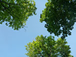 2012-05-12_18-51-55_P1060516.jpg