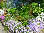 2012-05-14_14-32-52_P1060846.jpg
