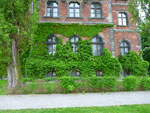 2012-05-18_19-55-13_P1060991.jpg