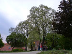 2012-05-18_19-58-11_P1070001.jpg