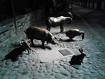 2012-05-18_21.56.19.jpg