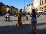 2012-05-19_18-00-05_P1070098.jpg
