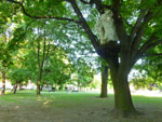 2012-05-19_18-46-03_P1070157.jpg