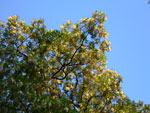 2012-05-19_19-43-04_P1070207.jpg